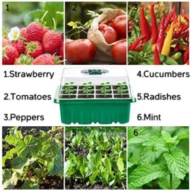 6 Pièces 12 Trous Bac à Semis,Plateau de Semis Hydratant,Mini Serre Plateaux de Germination des Plantes,Plateaux de semis Kit de démarrage,pour La Maison De Jardin De Serre Chaude (Vert) 6 Pièces 12 Trous Bac à Semis,Plateau de Semis Hydratant,Mini Serre Plateaux de Germination des Plantes,Plateaux de semis Kit de démarrage,pour La Maison De Jardin De Serre Chaude (Vert) 7