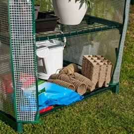 BRAMBLE Serre de Jardin/Balcon avec 4 Étagères Réglables & Bâche Robuste – Portable, Solide & Facile à Assembler – 160x69x49cm BRAMBLE Serre de Jardin/Balcon avec 4 Étagères Réglables & Bâche Robuste – Portable, Solide & Facile à Assembler – 160x69x49cm 8