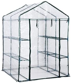 HOMCOM Serre de Jardin Balcon terrasse 4 étagères 143L x 143l x 195H cm Acier PVC imperméable Anti-UV Transparent Vert