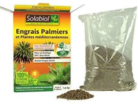 SOLABIOL SOPALMY15 Engrais palmiers et plantes méditerranéennes 1,5 Kg, Utilisable en Agriculture Biologique SOLABIOL SOPALMY15 Engrais palmiers et plantes méditerranéennes 1,5 Kg, Utilisable en Agriculture Biologique 5