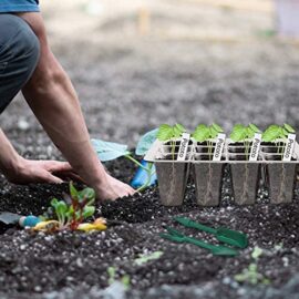 Mengxin 10 Pièce Plateaux de Culture Épaissir Mini Serre de Jardin 12 Trous avec Couvercle, Outils de Plantation, Étiquettes de Plantes Convient pour la Germination des Graines Mengxin 10 Pièce Plateaux de Culture Épaissir Mini Serre de Jardin 12 Trous avec Couvercle, Outils de Plantation, Étiquettes de Plantes Convient pour la Germination des Graines 5