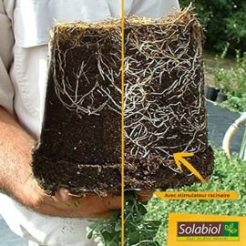 SOLABIOL SOPALMY15 Engrais palmiers et plantes méditerranéennes 1,5 Kg, Utilisable en Agriculture Biologique SOLABIOL SOPALMY15 Engrais palmiers et plantes méditerranéennes 1,5 Kg, Utilisable en Agriculture Biologique 7