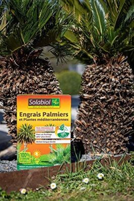 SOLABIOL SOPALMY15 Engrais palmiers et plantes méditerranéennes 1,5 Kg, Utilisable en Agriculture Biologique SOLABIOL SOPALMY15 Engrais palmiers et plantes méditerranéennes 1,5 Kg, Utilisable en Agriculture Biologique 8