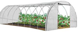 IDMarket – Serre Tunnel de Jardin 4 Saisons 24M² Blanche Gamme maraîchère des Andes 8x3M IDMarket – Serre Tunnel de Jardin 4 Saisons 24M² Blanche Gamme maraîchère des Andes 8x3M