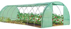 IDMarket – Serre Tunnel de Jardin 4 Saisons 24M² Verte Gamme maraîchère des Andes 8x3M IDMarket – Serre Tunnel de Jardin 4 Saisons 24M² Verte Gamme maraîchère des Andes 8x3M