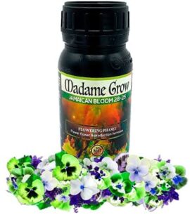 Madame Grow - Engrais Organique - Engrais Floraison - Floraison - Jamaican Bloom - 250mL