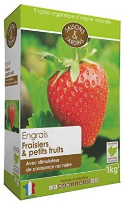 R’Garden | Engrais Organique Fraisiers & Petit Fruits | Engrais Ecologique Biologique | Fertilisant Naturel | Nourrit en Profondeur | Facile d’Utilisation | 1KG