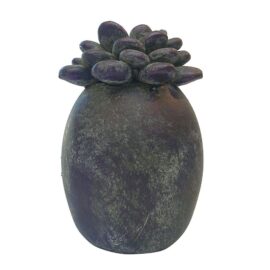 Statuette succulente violette Statuette succulente violette