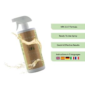 1L Engrais Bio Plantes Vertes – Intérieur et Extérieur – Feuilles et Racines Saines, Fortes et Vigoureuses – Fertilisant et Stimulateur de Croissance – Spray Prêt à l’Emploi 1L Engrais Bio Plantes Vertes – Intérieur et Extérieur – Feuilles et Racines Saines, Fortes et Vigoureuses – Fertilisant et Stimulateur de Croissance – Spray Prêt à l’Emploi 5