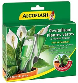 ALGOFLASH Monodose Revitalisante Plantes Vertes & Plantes Fleuries, Une dose pour une cure de 4 semaines, 30 ml, MONOPAV