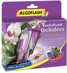 ALGOFLASH Monodoses Revitalisantes Orchidées, 5 doses, MONORCHID 30 ml Violet