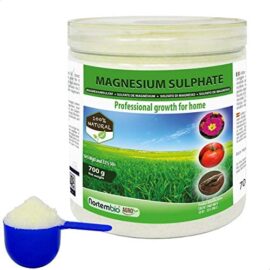 Nortembio Agro Sulfate de Magnésium Naturel 700 g. Utilisation Universelle. Améliore la Croissance des Cultures, des Jardins, des Plantes d’Intérieur et d’Extérieur.