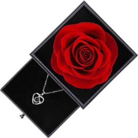 Rose Eternelle Cadeaux pour fête des mères, avec Love You ,Idee Cadeau Anniversaire Saint Valentin Mariage Fete des Meres pour Femme Maman, Cadeaux romantiques pour Elle Rose Eternelle Cadeaux pour fête des mères, avec Love You ,Idee Cadeau Anniversaire Saint Valentin Mariage Fete des Meres pour Femme Maman, Cadeaux romantiques pour Elle 2