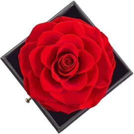 Rose Eternelle Cadeaux pour fête des mères, avec Love You ,Idee Cadeau Anniversaire Saint Valentin Mariage Fete des Meres pour Femme Maman, Cadeaux romantiques pour Elle Rose Eternelle Cadeaux pour fête des mères, avec Love You ,Idee Cadeau Anniversaire Saint Valentin Mariage Fete des Meres pour Femme Maman, Cadeaux romantiques pour Elle 3