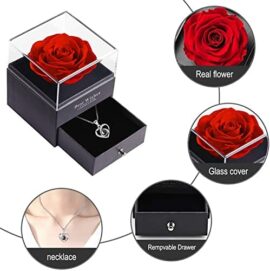 Rose Eternelle Cadeaux pour fête des mères, avec Love You ,Idee Cadeau Anniversaire Saint Valentin Mariage Fete des Meres pour Femme Maman, Cadeaux romantiques pour Elle Rose Eternelle Cadeaux pour fête des mères, avec Love You ,Idee Cadeau Anniversaire Saint Valentin Mariage Fete des Meres pour Femme Maman, Cadeaux romantiques pour Elle 6