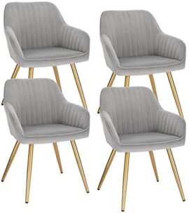 Lestarain Chaise de Salle à Manger Lot de 4 avec Dossier et Accoudoir,Chaise de Cuisine Gris Clair Fauteuil Scandinave Assise en Velours et Pieds en Métal Lestarain Chaise de Salle à Manger Lot de 4 avec Dossier et Accoudoir,Chaise de Cuisine Gris Clair Fauteuil Scandinave Assise en Velours et Pieds en Métal