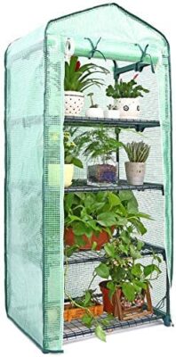 Serre de Jardin, Ohuhu Mini Serre pour extérieur avec 4 Étagères Réglables, fenêtres d'observation & Bâche Robuste, Portable, Solide & Facile à Assembler - 158 x 70 x 50 cm