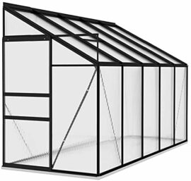 Tidyard Serre de Jardin Serre Panneau de Polycarbonate Résistance aux UV Anthracite Aluminium 6,5 m³