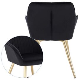 Lestarain Lot de 2 Chaise de Salle à Manger Fauteuil de Salle à Manger en Velours et Métal,Fauteuil Scandinave Chaise de Cuisine,Noir Lestarain Lot de 2 Chaise de Salle à Manger Fauteuil de Salle à Manger en Velours et Métal,Fauteuil Scandinave Chaise de Cuisine,Noir 2