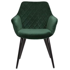 eSituro 1 Chaise de Salle à Manger avec Velours Assise Chaise de Salon avec métal Pied,Vert SDC0172-1 eSituro 1 Chaise de Salle à Manger avec Velours Assise Chaise de Salon avec métal Pied,Vert SDC0172-1 2